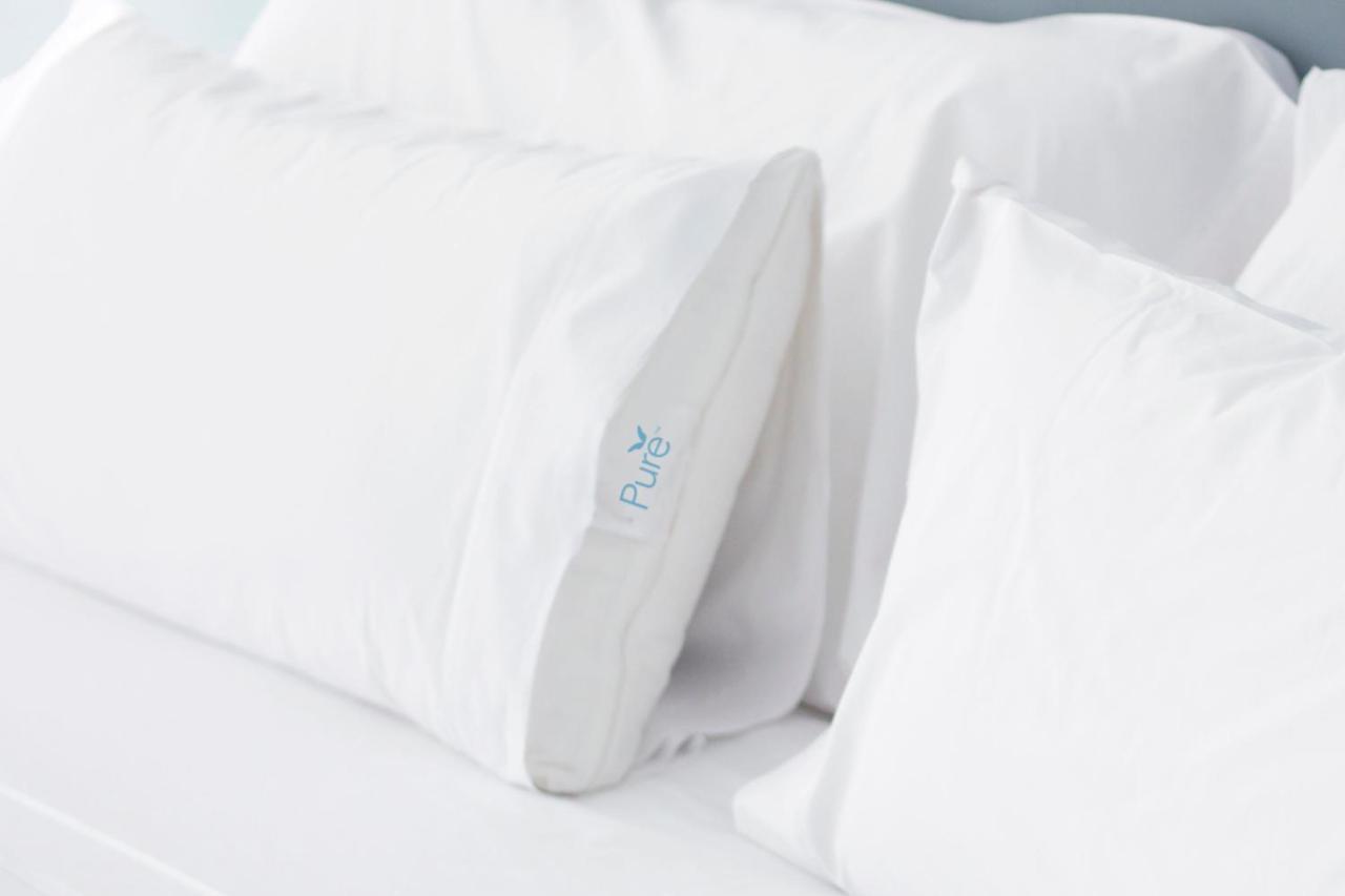 By Marriott Orlando At Seaworld Hotel Williamsburg